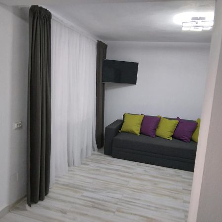 Luxury Apartament Curtea de Argeş Exteriör bild