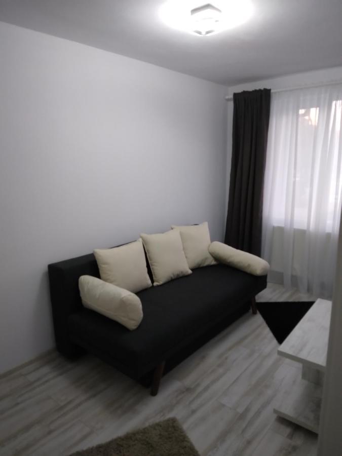 Luxury Apartament Curtea de Argeş Exteriör bild