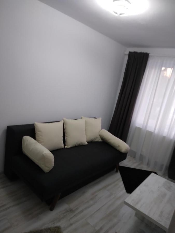 Luxury Apartament Curtea de Argeş Exteriör bild