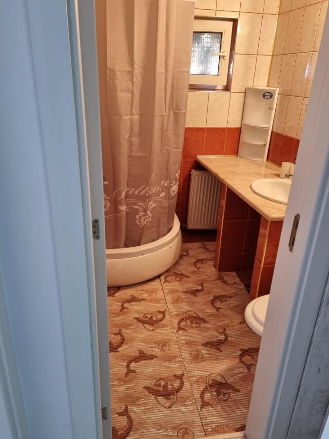 Luxury Apartament Curtea de Argeş Exteriör bild