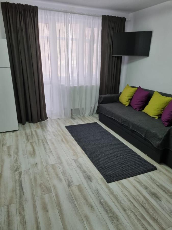Luxury Apartament Curtea de Argeş Exteriör bild